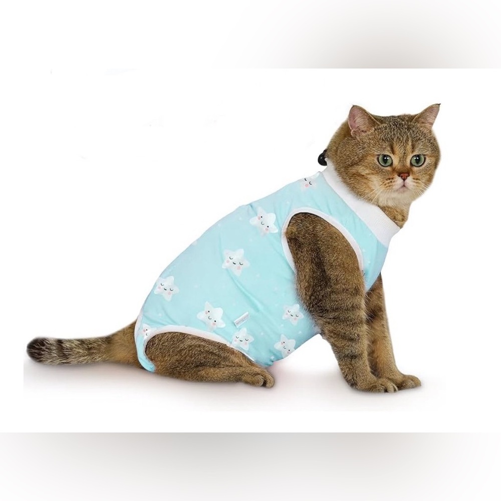 Cat Recovery Suit Breathable Cat Onesie Clothes After Surgery Female, Kitten